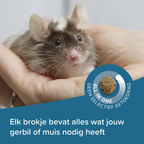Beaphar Beaphar Care+ Gerbil en Muis - 500 gram