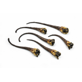 Bark-Bite Bark-Bite Wilde Zwijnenstaart - 1 kilo