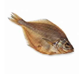 Bark-Bite Bark-Bite Fish - Schar XL - per stuk Bark-Bite Bark-Bite Fish - Schar XL - per stuk