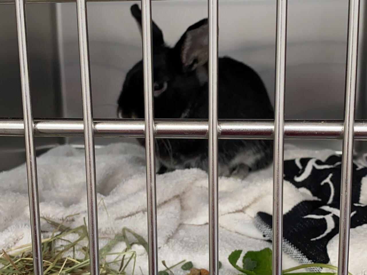 Herbimals Cunirod Select pakket - per stuk Herbimals Cunirod Select pakket - per stuk