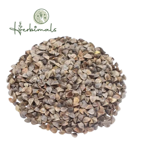 Herbimals Herbimals Boekweit zaden