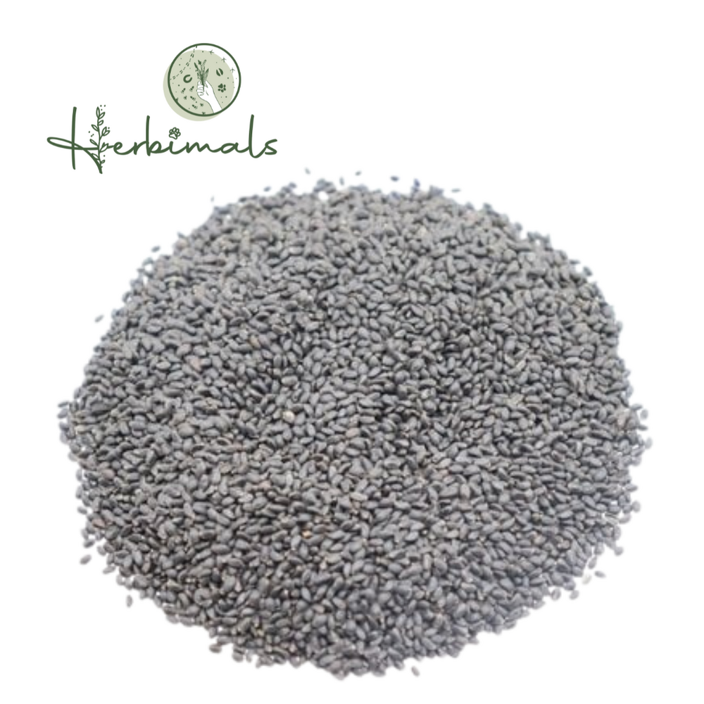 Herbimals Herbimals Basilicumzaad