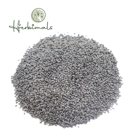 Herbimals Herbimals Basilicumzaad