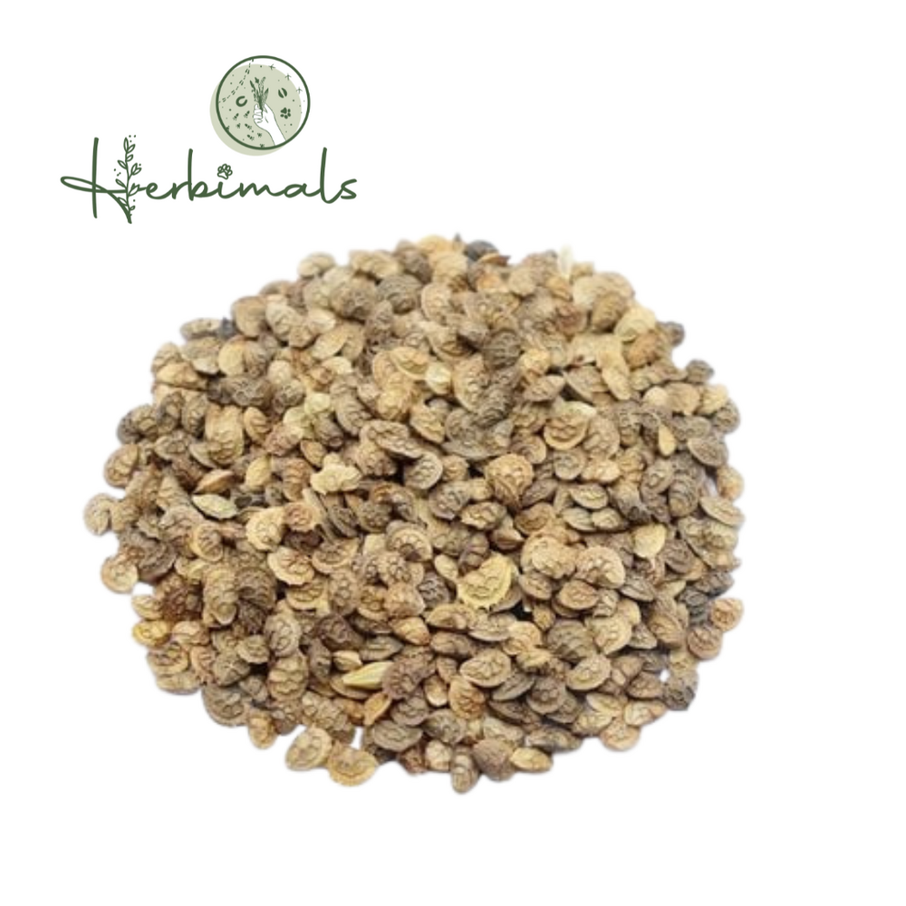 Herbimals Herbimals Esparcette zaden - Onobrychis viciifolia