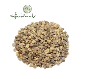 Herbimals Herbimals Esparcette zaden - Onobrychis viciifolia