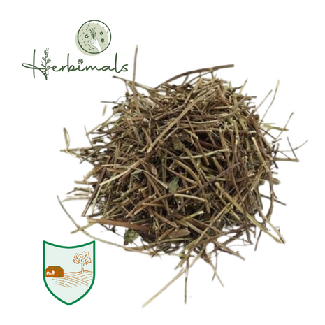 Herbimals Herbimals Citroenmelissesteeltjes