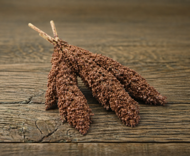 Knabbelstruiken voor knaagdieren en vogels