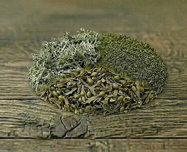 Mossen en wieren voor dieren