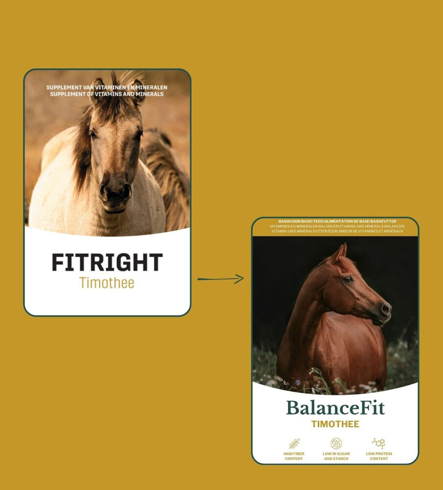 Metazoa Metazoa BalanceFit Timothee - 15 kilo - voorheen FitRight Timothee