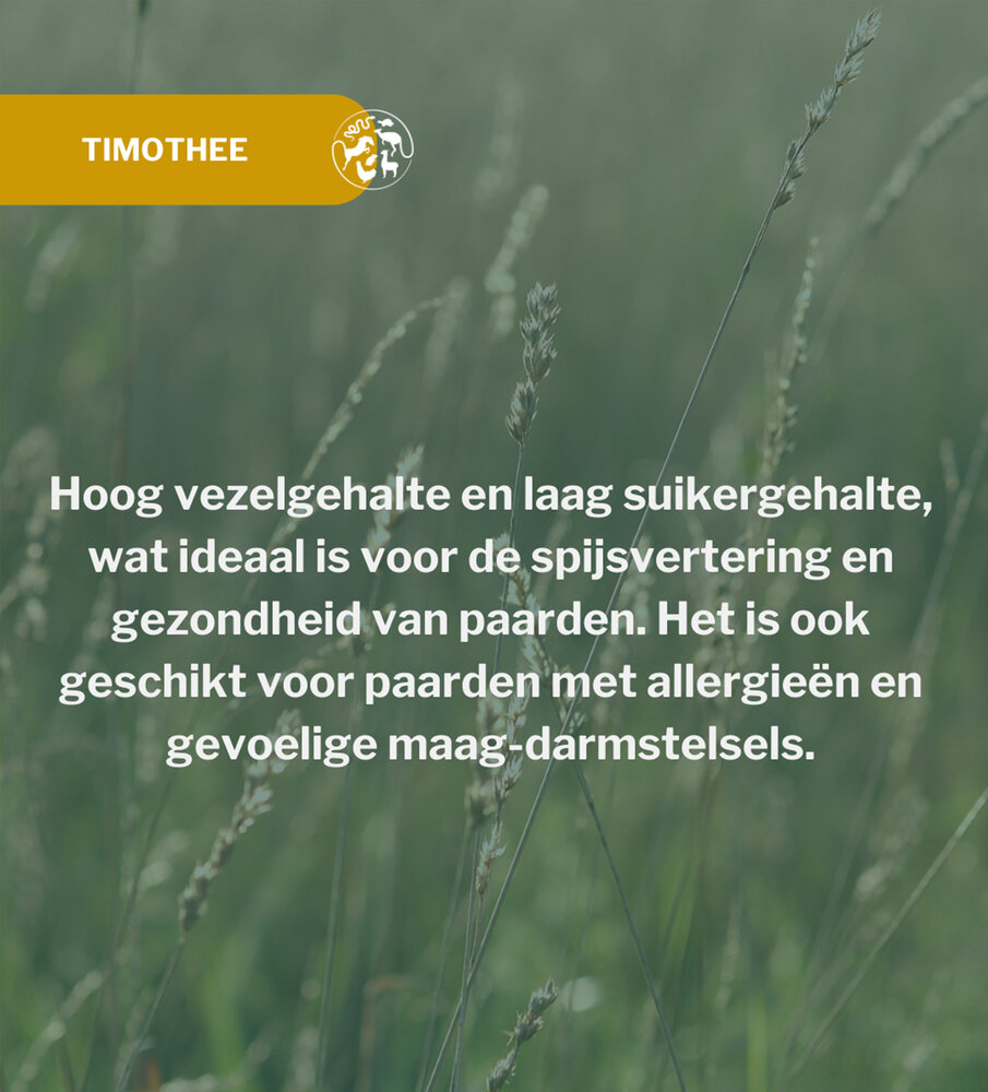 Metazoa Metazoa BalanceFit Timothee - 15 kilo - voorheen FitRight Timothee