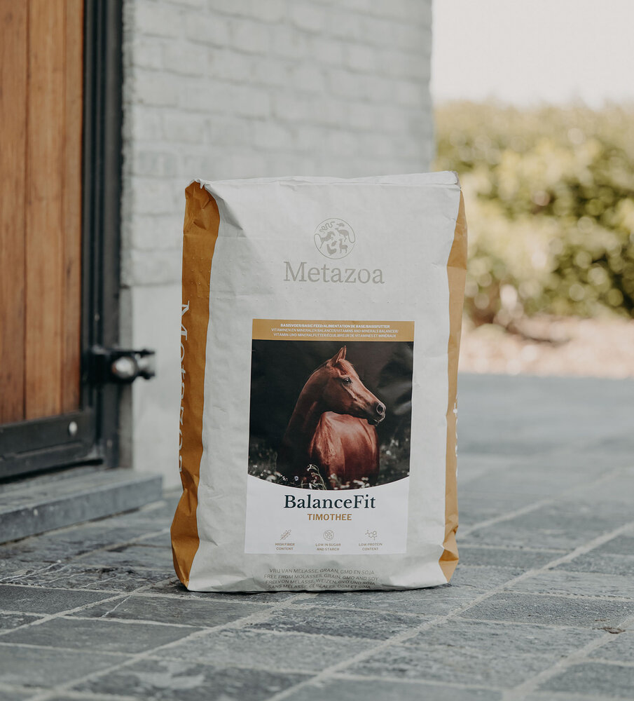 Metazoa Metazoa BalanceFit Timothee - 15 kilo - voorheen FitRight Timothee