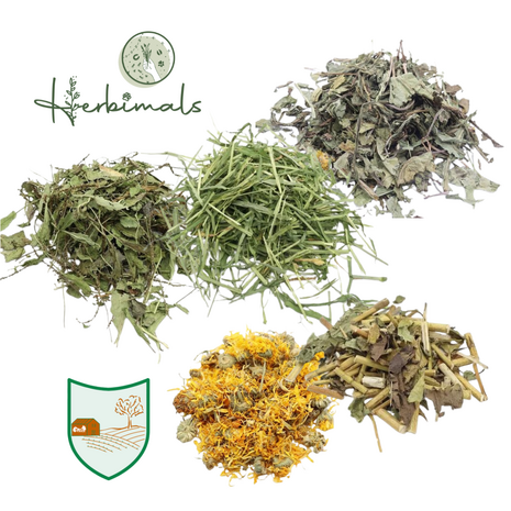 Herbimals Startpakket kruidenbar - groot Herbimals Startpakket kruidenbar - groot