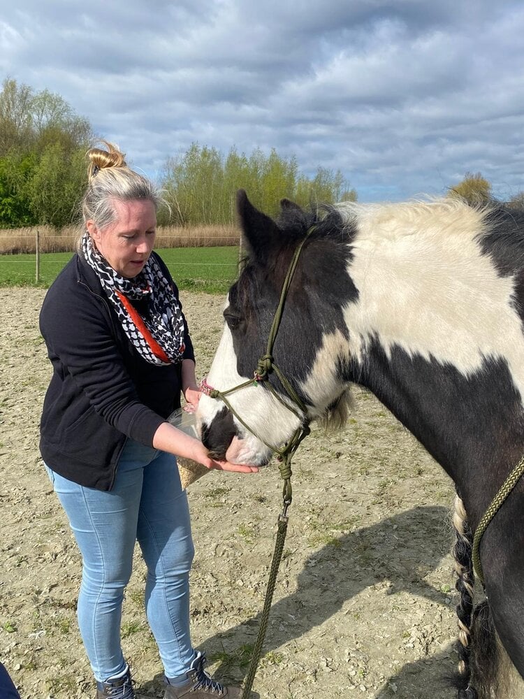 Herbimals Startpakket kruidenbar - groot Herbimals Startpakket kruidenbar - groot