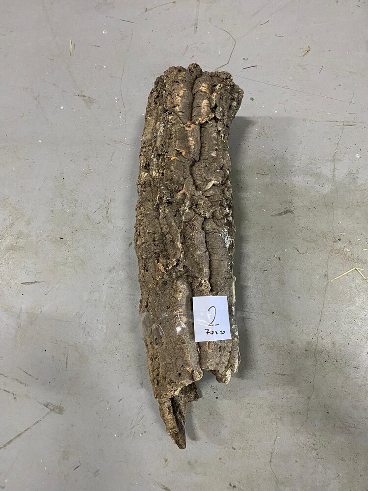 D-tails Kurk Tunnel - L - XL - limited edition