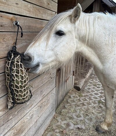 Equitat Equitat Snacknet - Hooinet S - 30x50 - Maas 4,5 cm