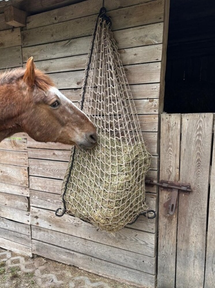 Equitat Equitat Hooinet XL - 1x1,60 meter - Maas 5 cm