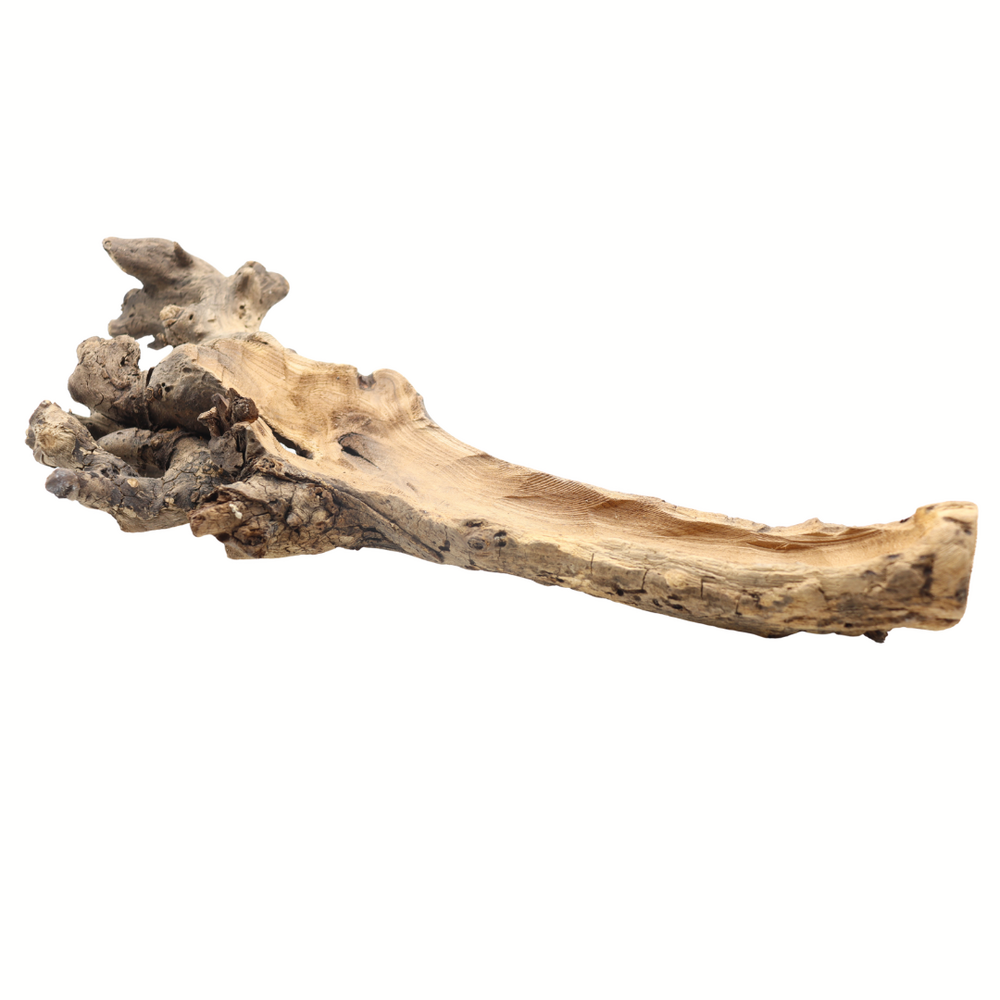Druivenstam hol - boomstronk - 40-50 cm Druivenstam hol - boomstronk - 40-50 cm