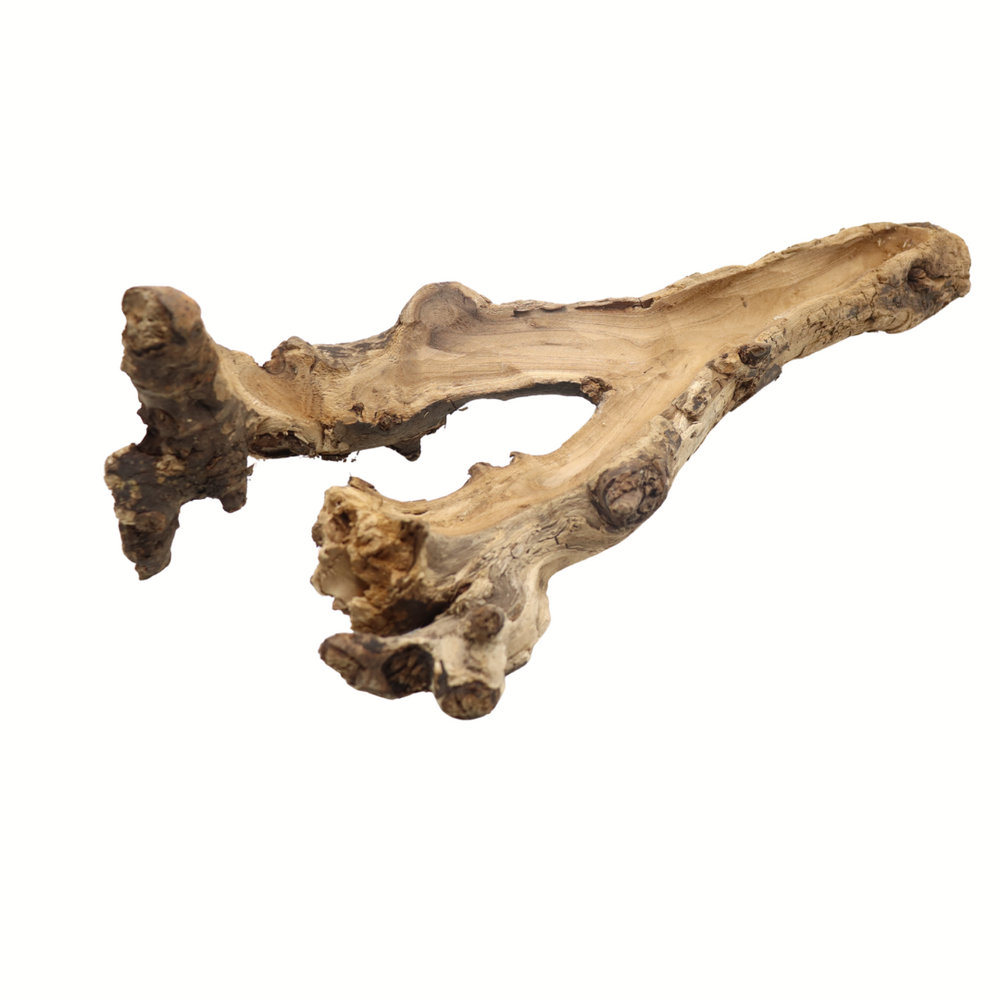 Druivenstam hol - boomstronk - 40-50 cm Druivenstam hol - boomstronk - 40-50 cm
