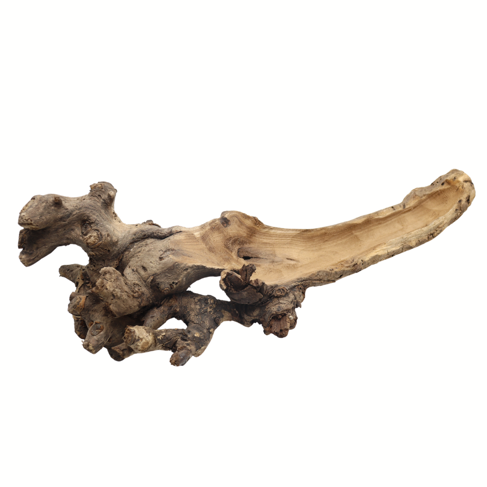 Druivenstam hol - boomstronk - 40-50 cm Druivenstam hol - boomstronk - 40-50 cm