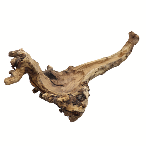 Druivenstam hol - boomstronk - 40-50 cm Druivenstam hol - boomstronk - 40-50 cm