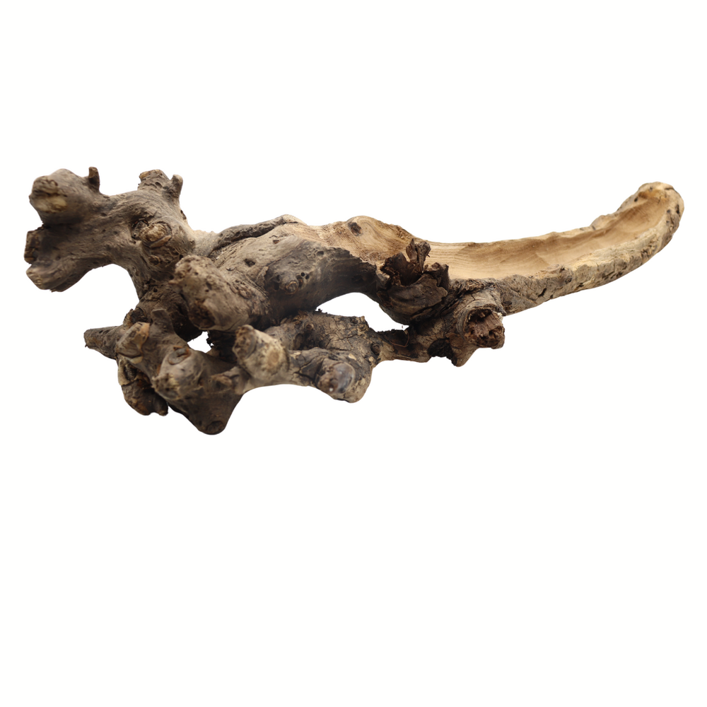 Druivenstam hol - boomstronk - 40-50 cm Druivenstam hol - boomstronk - 40-50 cm