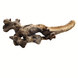 Druivenstam hol - boomstronk - 40-50 cm Druivenstam hol - boomstronk - 40-50 cm