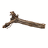 Druivenrank - boomstronk - 25-45 cm Druivenrank - boomstronk - 25-45 cm