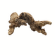 Boomstronk Naturel - 25-30 cm Boomstronk Naturel - 25-30 cm