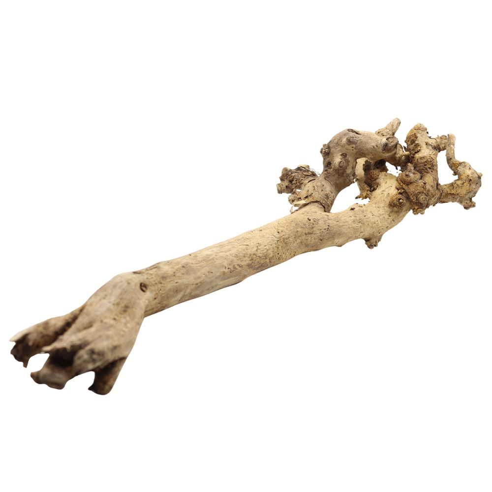 Boomstronk Naturel - 53 x 5 x 18 cm Boomstronk Naturel - 53 x 5 x 18 cm