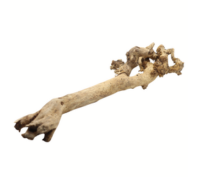 Boomstronk Naturel - 53 x 5 x 18 cm