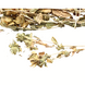 Herbimals Herbimals Kardi bloem en stengel - 100 gram