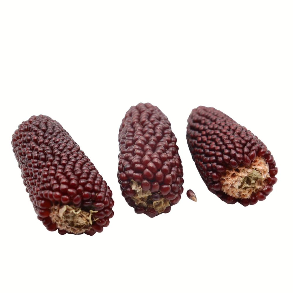 Herbimals Mini Maïskolf - Siermaïs Aardbeienmaïs - 3 stuks