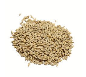 Herbimals Herbimals Gewone Gerst zaden - 100 gram