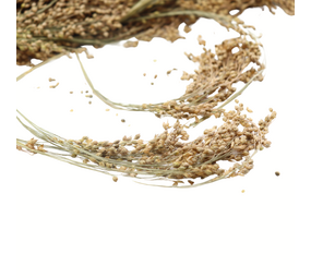Herbimals Herbimals Pluimgierst Groen - 100 gram