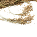 Herbimals Herbimals Pluimgierst Groen - 100 gram