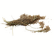 Herbimals Herbimals Pluimgierst Rood - 100 gram