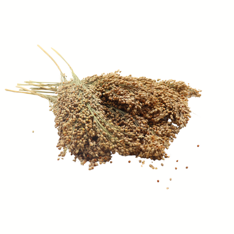 Herbimals Herbimals Pluimgierst Rood - 100 gram