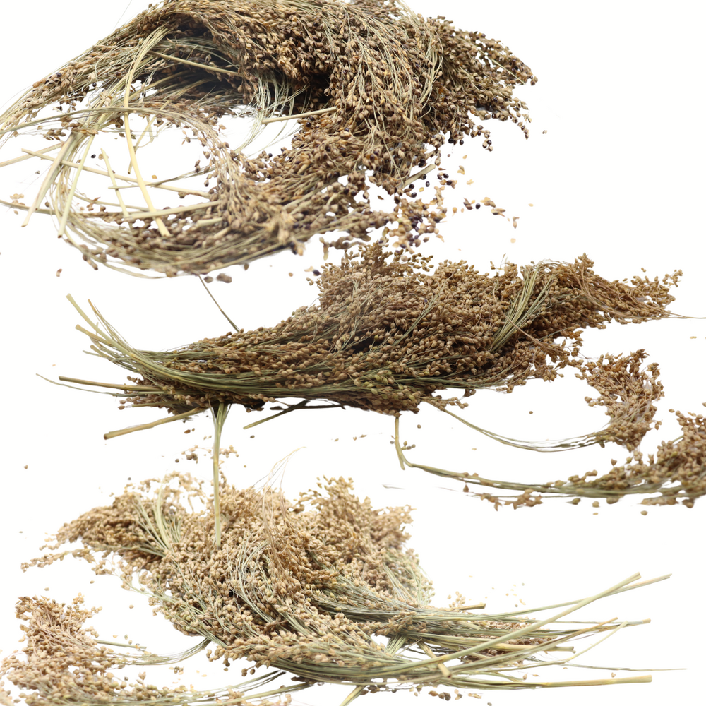 Herbimals Herbimals Pluimgierst Mix - 100 gram Herbimals Herbimals Pluimgierst Mix - 100 gram