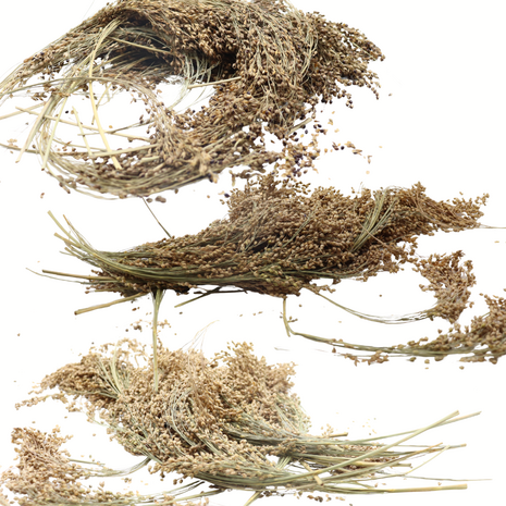 Herbimals Herbimals Pluimgierst Mix - 100 gram Herbimals Herbimals Pluimgierst Mix - 100 gram