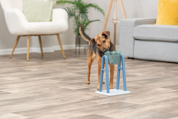 Trixie Trixie Dog Activity hondenpuzzel - Turn Around - niveau 2