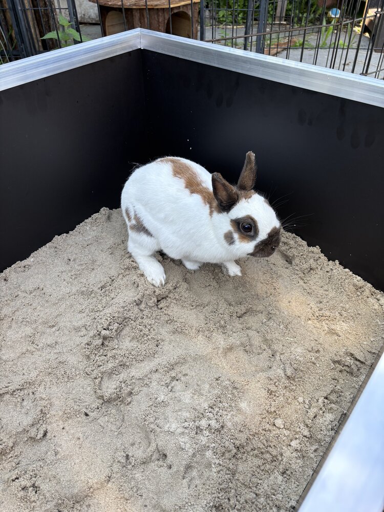 Rabbitat Rabbitat Konijnen Zand - Graafzand - 20 kilo