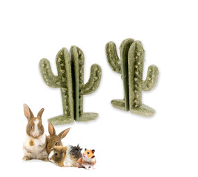 Ferplast Eetbare Cactus - 7,2 x 2,8 x 9,2 cm  - Veggie Bites Cactus - 2 stuks