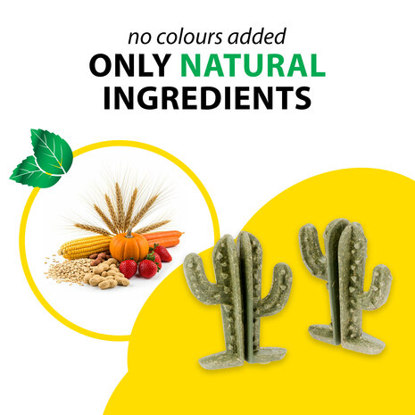 Ferplast Eetbare Cactus - 7,2 x 2,8 x 9,2 cm - Veggie Bites Cactus - 2 stuks Ferplast Eetbare Cactus - 7,2 x 2,8 x 9,2 cm - Veggie Bites Cactus - 2 stuks
