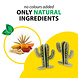 Ferplast Eetbare Cactus - 7,2 x 2,8 x 9,2 cm - Veggie Bites Cactus - 2 stuks Ferplast Eetbare Cactus - 7,2 x 2,8 x 9,2 cm - Veggie Bites Cactus - 2 stuks