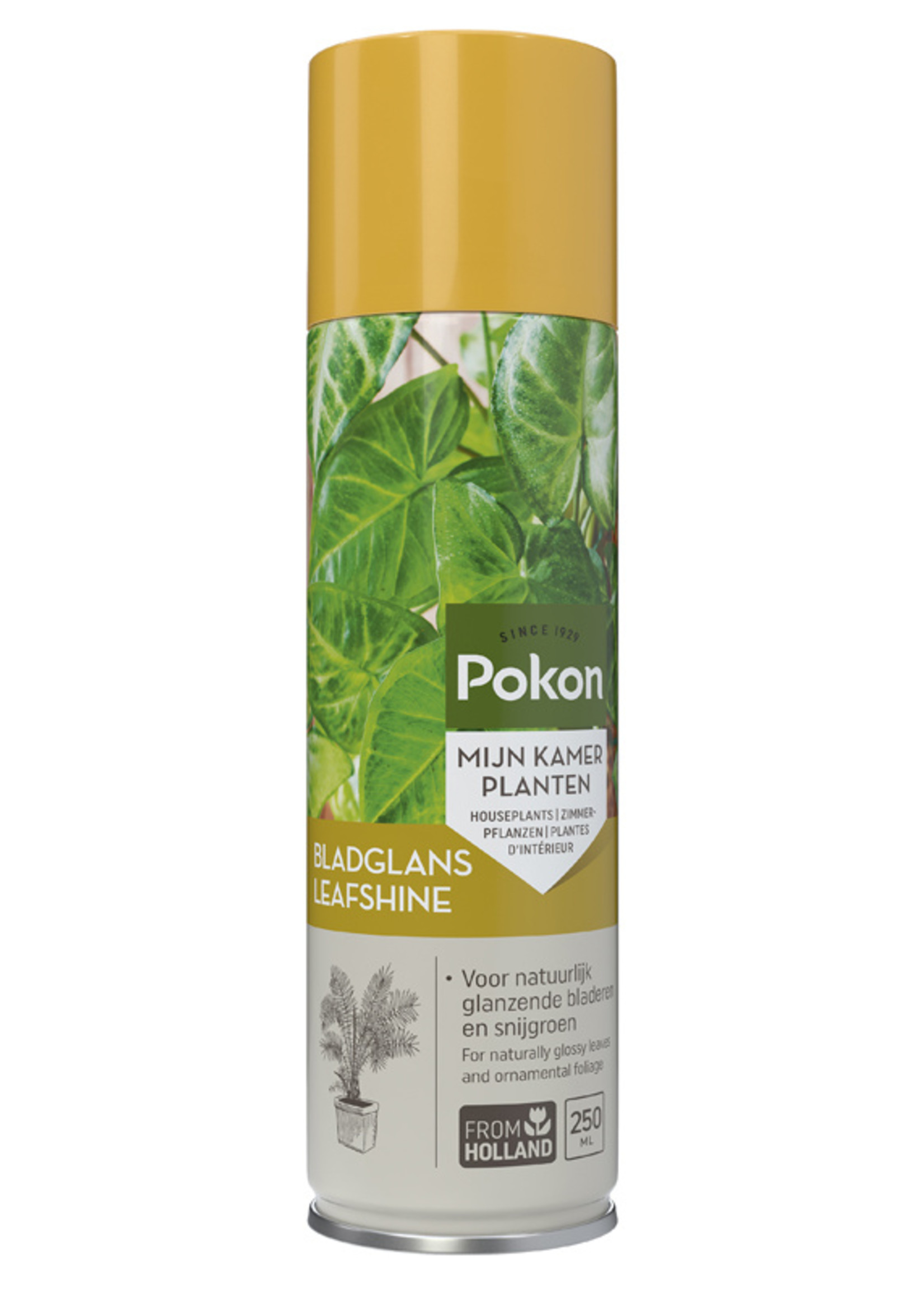 Pokon Bladglans 250ml