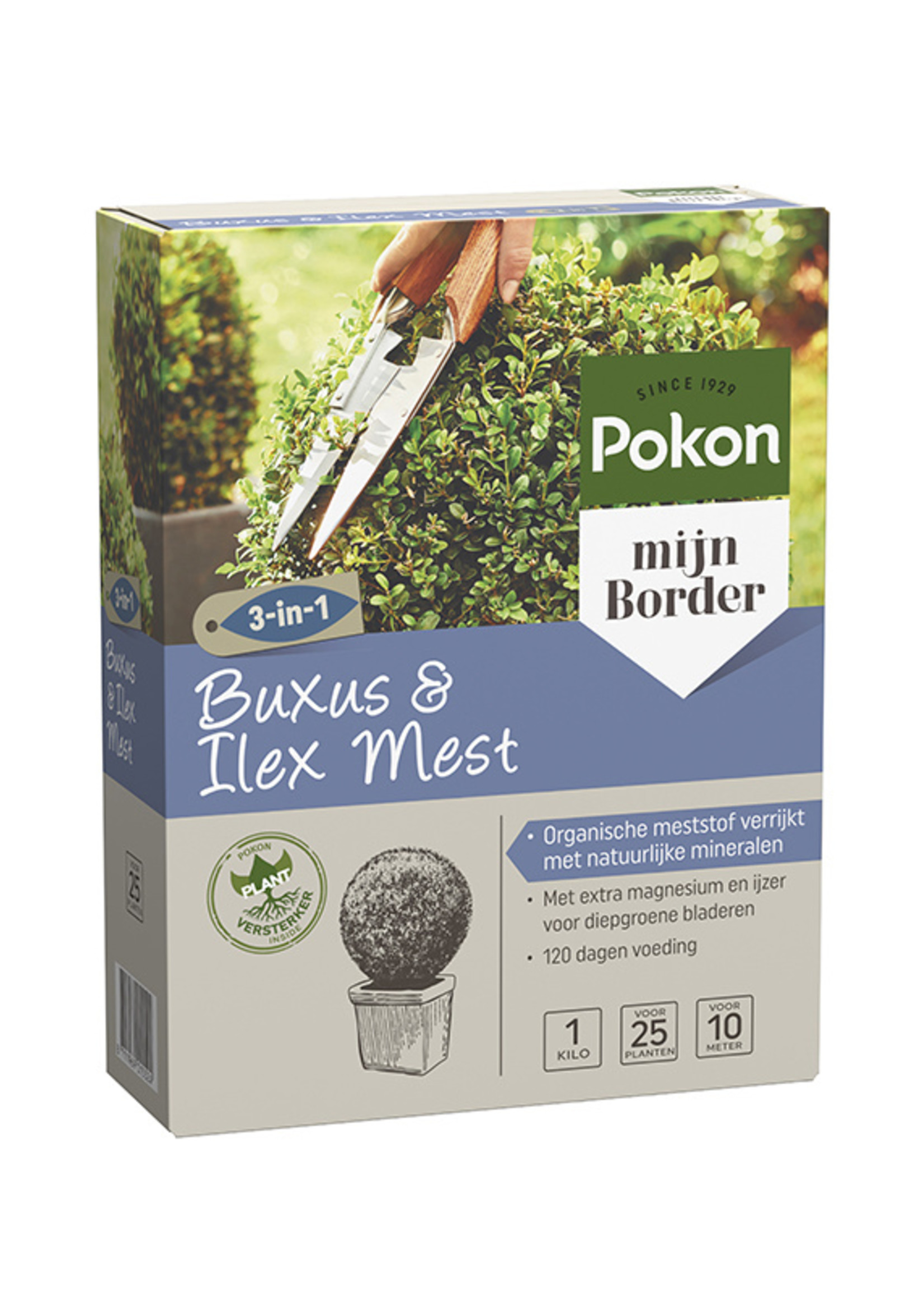 Pokon POKON Buxus/Ilex voeding 1kg