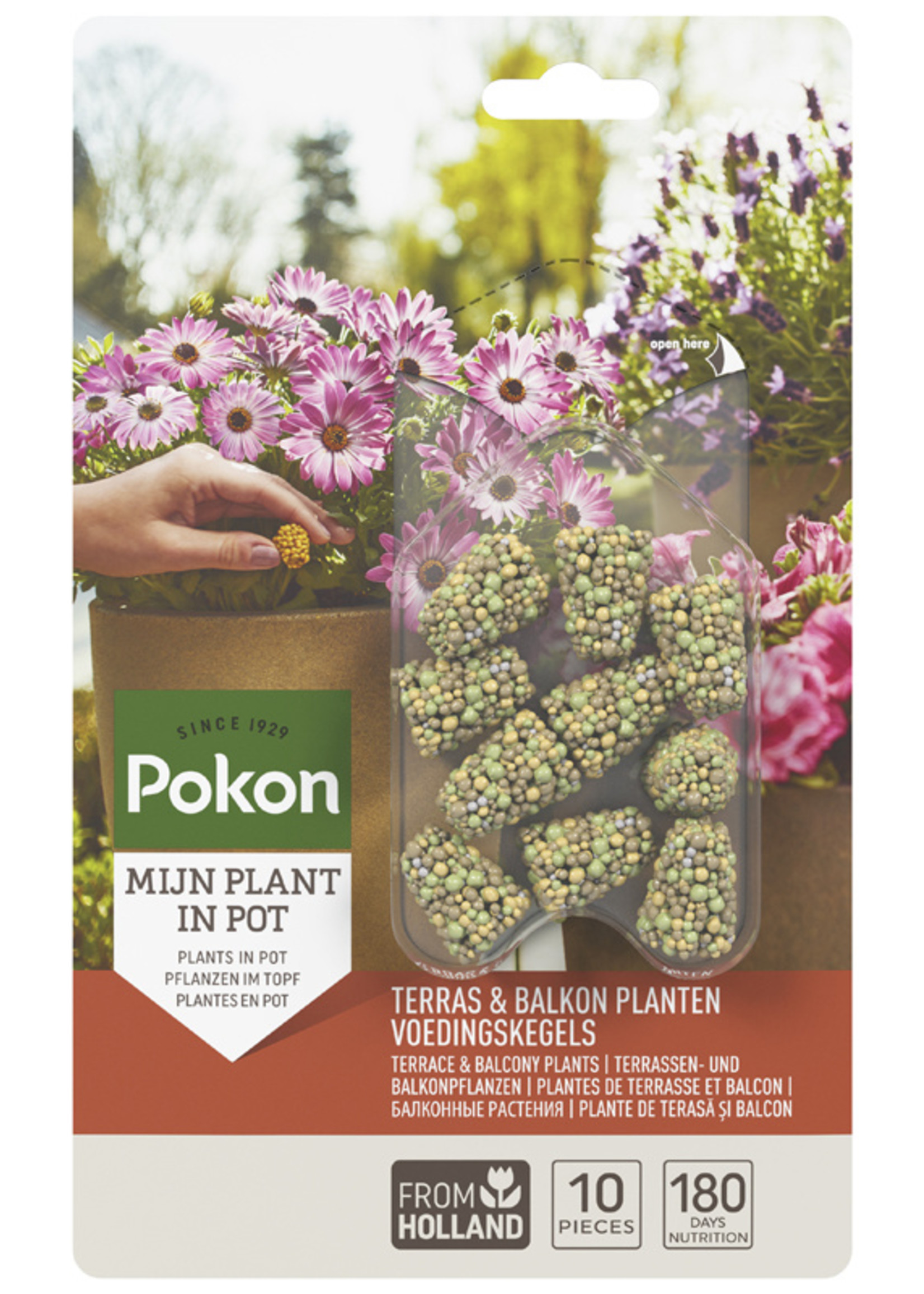 Pokon POKON Portie t&b voedingskegel 10st