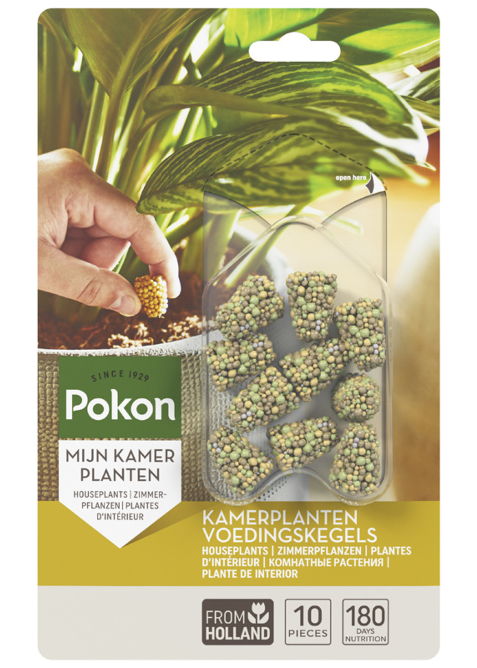 Pokon POKON Portie kamerplanten tabletten 10 st