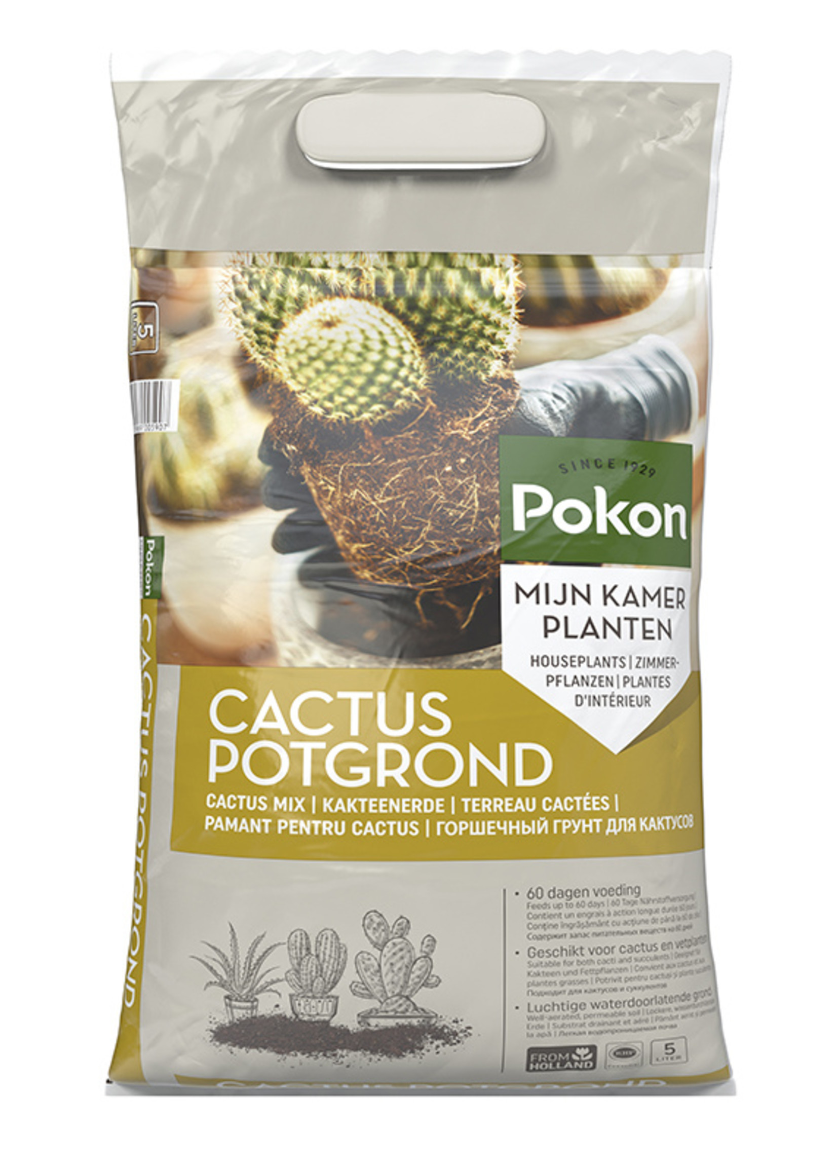 Pokon Rhp cactus grond 5l