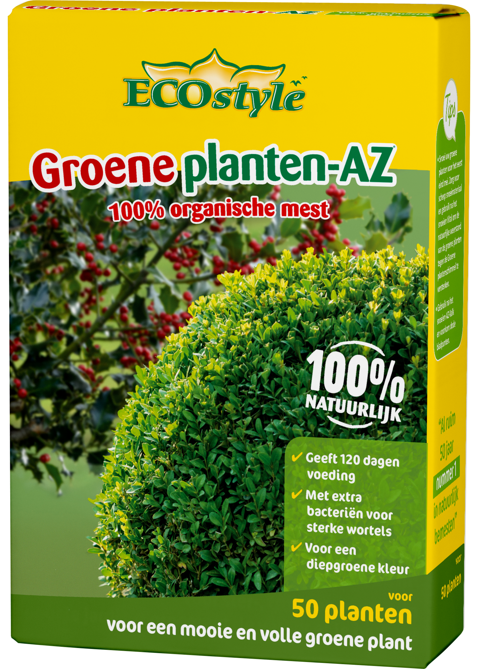 Ecostyle Buxus/ilex-az 800 g